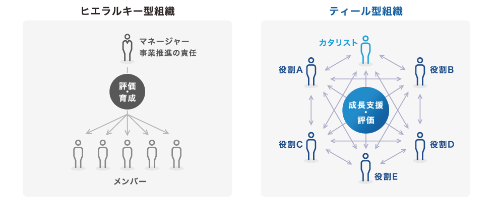 ネットプロテクションズのティール型組織