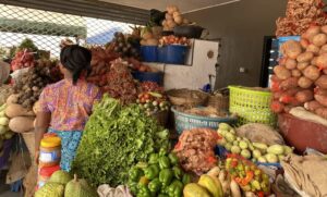 SDGs17ゴールの達成に向けた事業開発