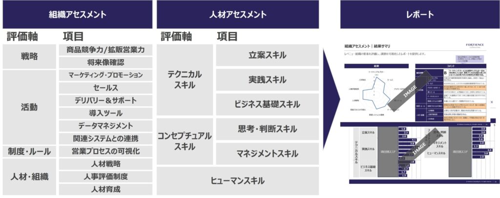 図:「レベニュー組織・人材アセスメントサービス」概要